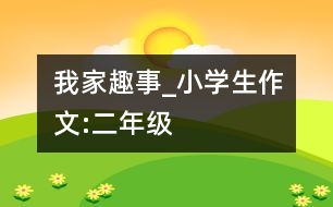 我家趣事_小學生作文:二年級
