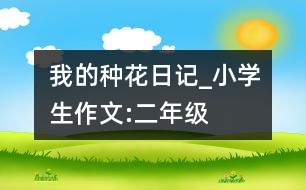 我的種花日記_小學(xué)生作文:二年級