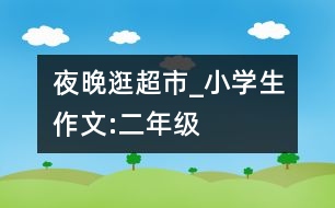夜晚逛超市_小學(xué)生作文:二年級