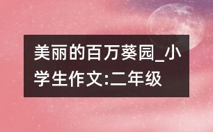 美麗的百萬(wàn)葵園_小學(xué)生作文:二年級(jí)