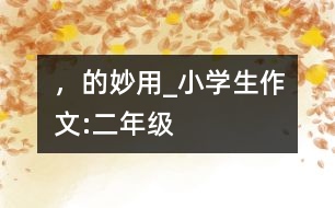 “，”的妙用_小學(xué)生作文:二年級(jí)