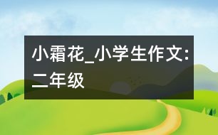 小霜花_小學(xué)生作文:二年級(jí)