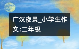 廣漢夜景_小學(xué)生作文:二年級(jí)