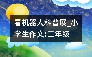 看機(jī)器人科普展_小學(xué)生作文:二年級(jí)