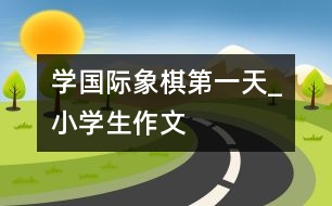 學國際象棋第一天_小學生作文