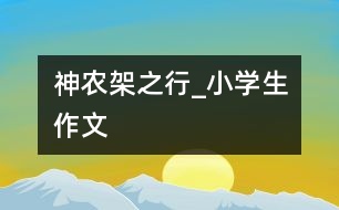 神農(nóng)架之行_小學生作文