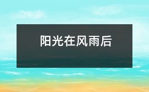 陽光在風雨后