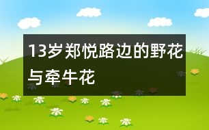 13歲鄭悅:路邊的野花與牽?;?></p>
<P>作者簡介:<BR>作者:鄭悅<BR>性別: 年齡:13<BR>學(xué)校:廣東省佛山市南海區(qū)桂城桂江一中102班 <BR>年級:初一<BR>輔導(dǎo)老師:賀紹堂</P><P><BR> <BR> 牽?;ㄒ腊豢么髽渑赖煤芨吆芨?,而小野花一點也不顯眼地長在路坎邊。<BR> <BR> 一天,牽?;ò炎彀屯砍筛鞣N顏色,一齊對著路邊的小野花嘲笑:藍嘴巴說:“小野花,你是吃多了玩童的尿了,長不高的?!本G嘴巴說:“你是天生基因決定,長不高的?!弊献彀驼f:“什么都只能靠邊站,一點見識也沒有,多慚愧。”最后紅嘴巴高興得唱起了歌:“嗚喇、嗚喇,我嘴小勁大。白云被我吹著跑,雷公與我把話拉。清晨小鳥就請安,嗚喇、嗚喇,我有一張小嘴巴?!?BR> <BR> 正當(dāng)牽?;ǖ靡庵畷r,幾個伐木工人看中了牽牛花所依傍的大樹,隨著一聲聲伐木機聲,牽?;☉?yīng)聲倒下了,它甩得很慘,從此再也未見它爬起來過。<BR> <BR> 點評:小作者緊扣寓言在生動的故事中寄寓深刻道理的特點,運用擬人手法,再現(xiàn)自吹自擂者形象,結(jié)尾耐人尋味。<BR></P></td> </tr> <tr> </div>
</div>
</div>
<div id=