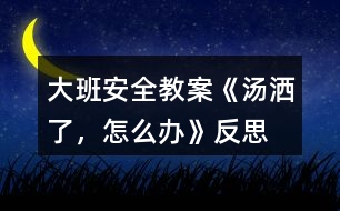 大班安全教案《湯灑了，怎么辦》反思
