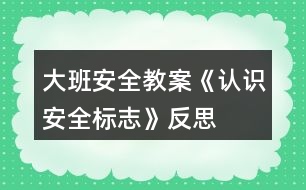 大班安全教案《認(rèn)識(shí)安全標(biāo)志》反思