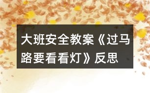 大班安全教案《過(guò)馬路要看看燈》反思