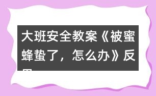 大班安全教案《被蜜蜂蟄了，怎么辦》反思