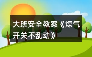 大班安全教案《煤氣開(kāi)關(guān)不亂動(dòng)》