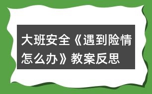 大班安全《遇到險情怎么辦》教案反思