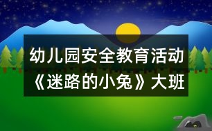 幼兒園安全教育活動(dòng)《迷路的小兔》大班教案反思
