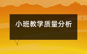 小班教學質量分析