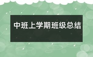 中班上學期班級總結(jié)