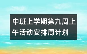 中班上學(xué)期第九周上午活動安排（周計(jì)劃）