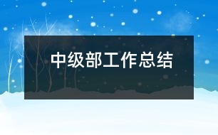 中級(jí)部工作總結(jié)