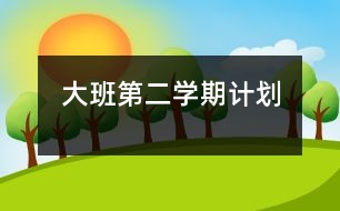 大班第二學(xué)期計劃