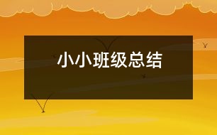 小小班級總結(jié)