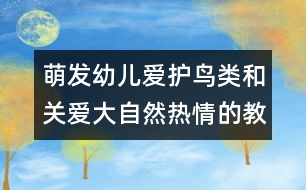 萌發(fā)幼兒愛(ài)護(hù)鳥(niǎo)類(lèi)和關(guān)愛(ài)大自然熱情的教案