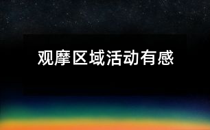 觀摩區(qū)域活動有感