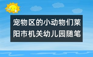 寵物區(qū)的小動物們（萊陽市機關(guān)幼兒園隨筆一組）