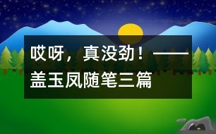 “哎呀，真沒勁！”――蓋玉鳳隨筆三篇