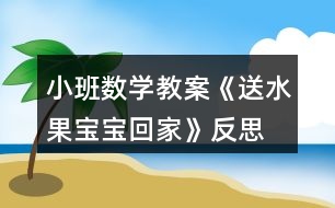 小班數學教案《送水果寶寶回家》反思