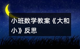 小班數(shù)學教案《大和小》反思