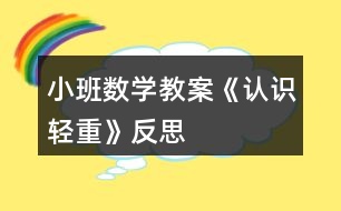 小班數(shù)學(xué)教案《認識輕重》反思