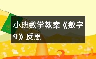 小班數學教案《數字9》反思