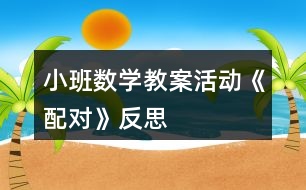 小班數學教案活動《配對》反思