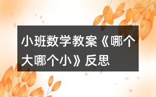 小班數(shù)學(xué)教案《哪個大、哪個小》反思