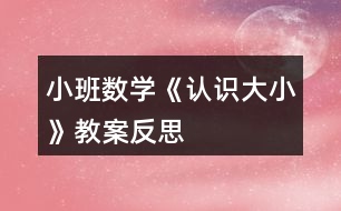 小班數(shù)學(xué)《認(rèn)識大小》教案反思