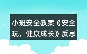 小班安全教案《安全玩，健康成長》反思