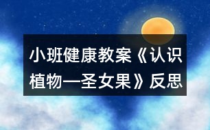 小班健康教案《認(rèn)識植物―圣女果》反思