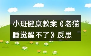小班健康教案《老貓睡覺(jué)醒不了》反思
