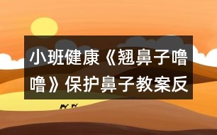 小班健康《翹鼻子嚕?！繁Ｗo(hù)鼻子教案反思