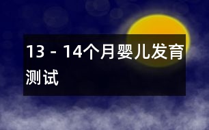 13－14個(gè)月嬰兒發(fā)育測試