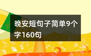晚安短句子簡(jiǎn)單9個(gè)字160句