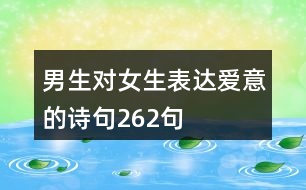 男生對(duì)女生表達(dá)愛意的詩句262句
