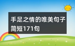 手足之情的唯美句子簡(jiǎn)短171句