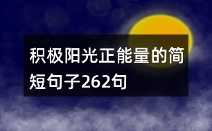 積極陽(yáng)光正能量的簡(jiǎn)短句子262句