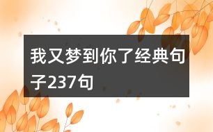 我又夢(mèng)到你了經(jīng)典句子237句