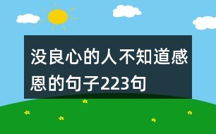 沒(méi)良心的人不知道感恩的句子223句