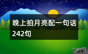晚上拍月亮配一句話(huà)242句