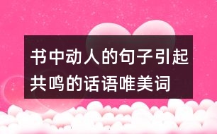 書(shū)中動(dòng)人的句子,引起共鳴的話語(yǔ),唯美詞句,有新意207句