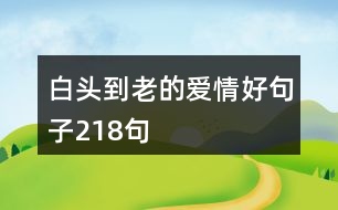 白頭到老的愛(ài)情好句子218句
